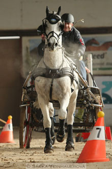 Zimní Jezdecký pohár spřežení 2016 -...