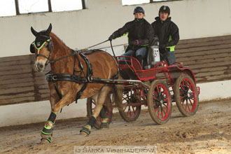 Zimní Jezdecký pohár spřežení 2016 -...