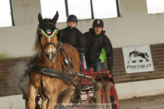 Zimní Jezdecký pohár spřežení 2016 -...