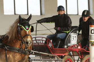 Zimní Jezdecký pohár spřežení 2016 -...