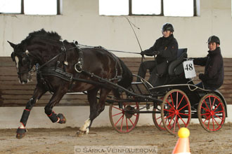 Zimní Jezdecký pohár spřežení 2016 -...