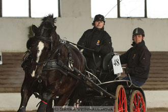 Zimní Jezdecký pohár spřežení 2016 -...