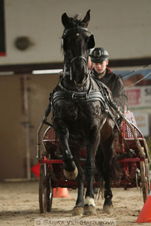 Zimní Jezdecký pohár spřežení 2016 -...