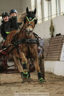Zimní Jezdecký pohár spřežení 2016 -...