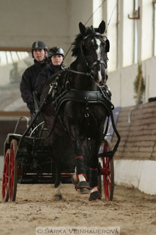 Zimní Jezdecký pohár spřežení 2016 -...