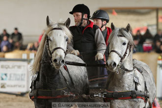 Zimní Jezdecký pohár spřežení 2016 -...