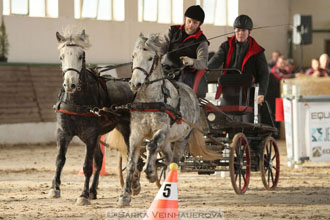 Zimní Jezdecký pohár spřežení 2016 -...