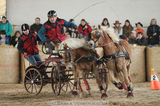 Zimní Jezdecký pohár spřežení 2016 -...