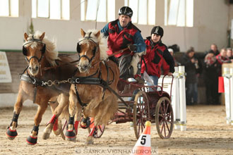 Zimní Jezdecký pohár spřežení 2016 -...