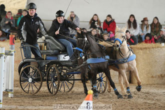 Zimní Jezdecký pohár spřežení 2016 -...