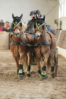 Zimní Jezdecký pohár spřežení 2016 -...