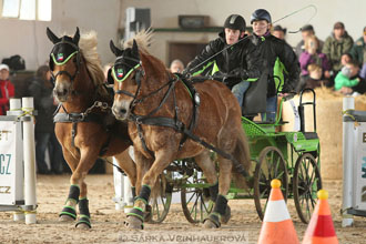 Zimní Jezdecký pohár spřežení 2016 -...