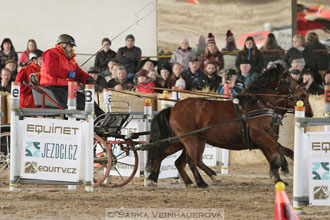 Zimní Jezdecký pohár spřežení 2016 -...