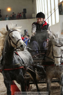 Zimní Jezdecký pohár spřežení 2016 -...