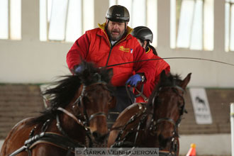 Zimní Jezdecký pohár spřežení 2016 -...