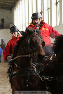 Zimní Jezdecký pohár spřežení 2016 -...
