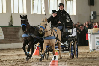 Zimní Jezdecký pohár spřežení 2016 -...