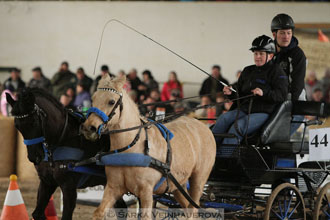 Zimní Jezdecký pohár spřežení 2016 -...
