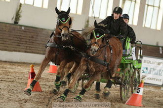 Zimní Jezdecký pohár spřežení 2016 -...