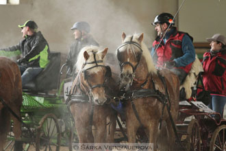 Zimní Jezdecký pohár spřežení 2016 -...