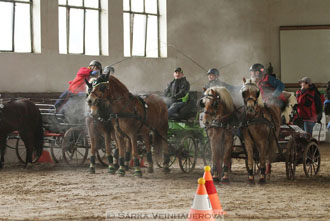 Zimní Jezdecký pohár spřežení 2016 -...
