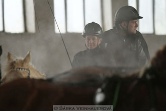 Zimní Jezdecký pohár spřežení 2016 -...