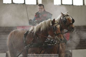 Zimní Jezdecký pohár spřežení 2016 -...