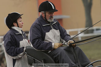 Zimní Jezdecký pohár spřežení 2016 -...