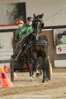 Zimní Jezdecký pohár spřežení 2016 -...
