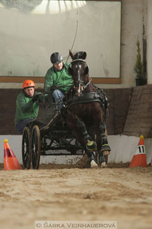 Zimní Jezdecký pohár spřežení 2016 -...