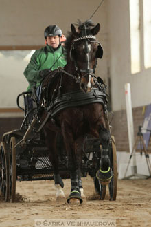Zimní Jezdecký pohár spřežení 2016 -...