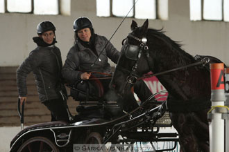 Zimní Jezdecký pohár spřežení 2016 -...