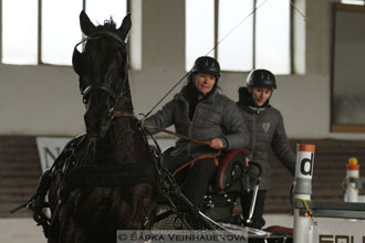 Zimní Jezdecký pohár spřežení 2016 -...