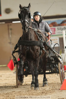 Zimní Jezdecký pohár spřežení 2016 -...