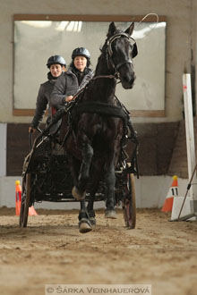 Zimní Jezdecký pohár spřežení 2016 -...