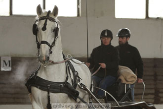 Zimní Jezdecký pohár spřežení 2016 -...