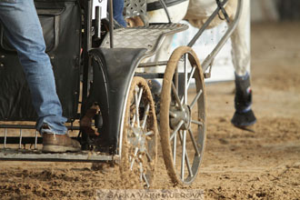 Zimní Jezdecký pohár spřežení 2016 -...