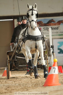 Zimní Jezdecký pohár spřežení 2016 -...