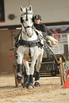 Zimní Jezdecký pohár spřežení 2016 -...