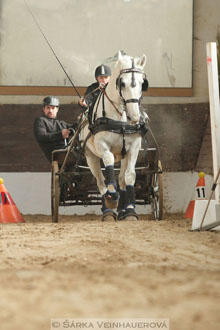 Zimní Jezdecký pohár spřežení 2016 -...