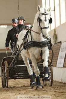 Zimní Jezdecký pohár spřežení 2016 -...