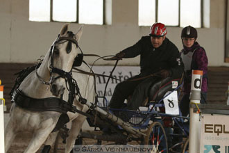 Zimní Jezdecký pohár spřežení 2016 -...