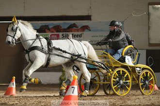 Zimní Jezdecký pohár spřežení 2016 -...