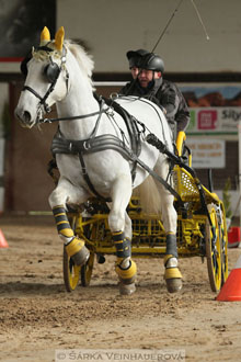 Zimní Jezdecký pohár spřežení 2016 -...