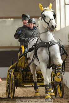 Zimní Jezdecký pohár spřežení 2016 -...