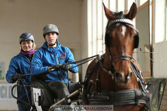 Zimní Jezdecký pohár spřežení 2016 -...