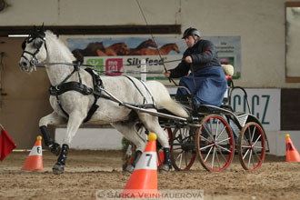 Zimní Jezdecký pohár spřežení 2016 -...