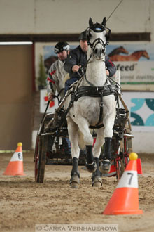 Zimní Jezdecký pohár spřežení 2016 -...