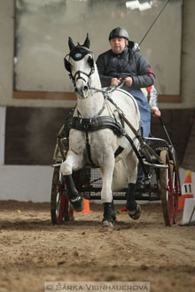 Zimní Jezdecký pohár spřežení 2016 -...