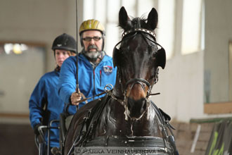 Zimní Jezdecký pohár spřežení 2016 -...